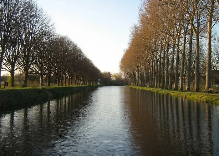 Orchidee Premium Apartment