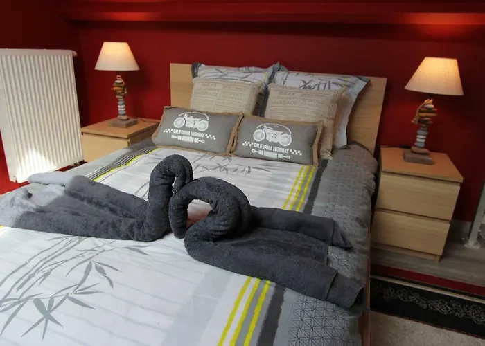 Daire Orchidee Premium