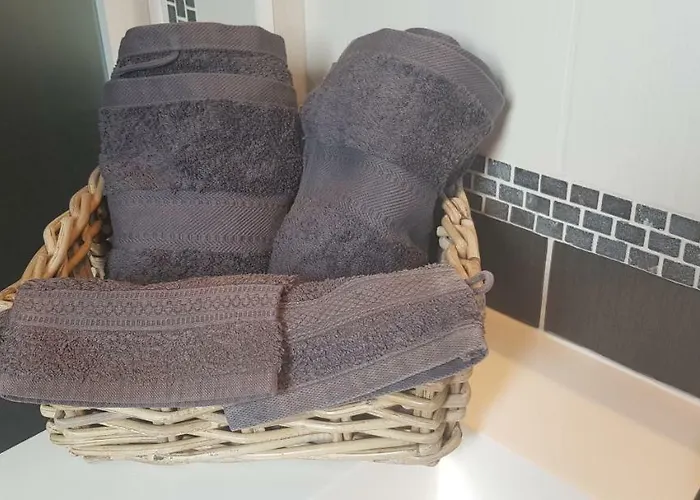 Orchidee Premium Comines-Warneton